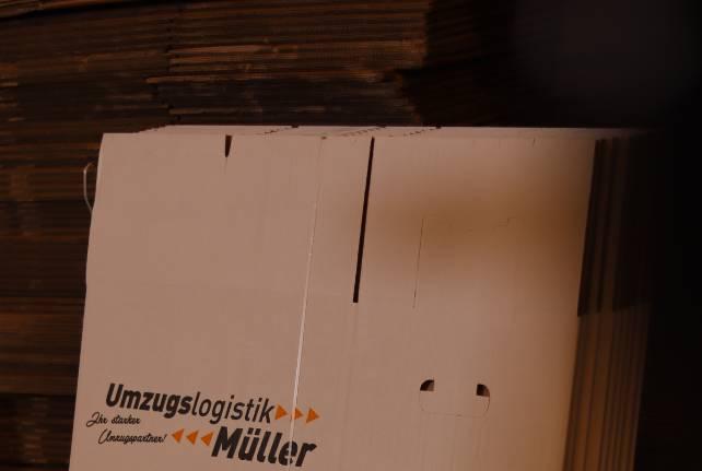 Günstiger Behördenumzug Krostitz